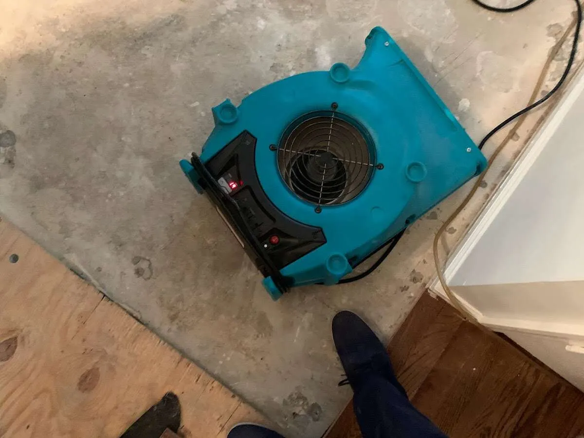 Air mover drying subfloor during Leak Detection & Repair in Belleville